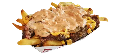 in n out CHEESE FRIES