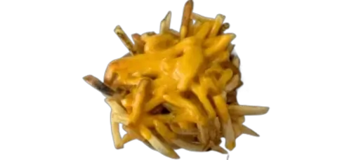 in n out CHEESE FRIES